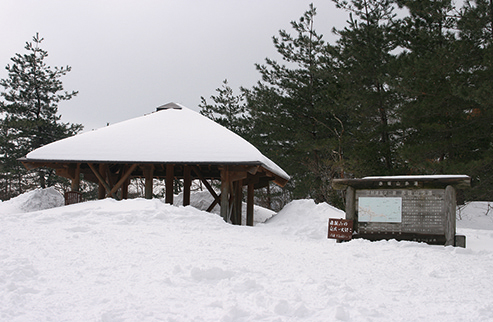 赤坂山　 雪に埋もれたブナの木平のあずまや