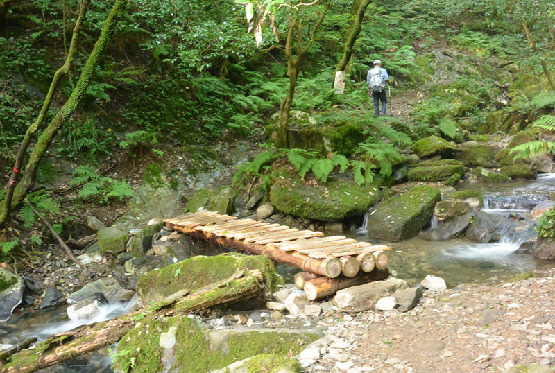 井原山　 いくつか木橋を渡って水無谷を詰める