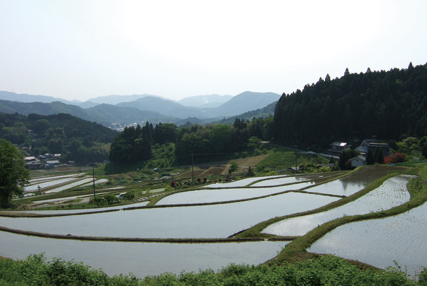 三草山　景観「長谷（ながたに）の棚田」下山道では、日本の棚田百選のひとつ、長谷の棚田を眺めながらの楽しいウォーキング