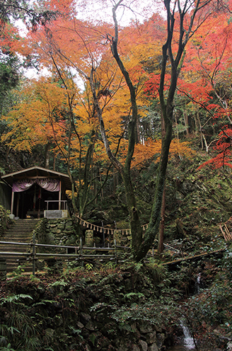 音羽山　 鳴沢不動滝周辺の紅葉もみごと