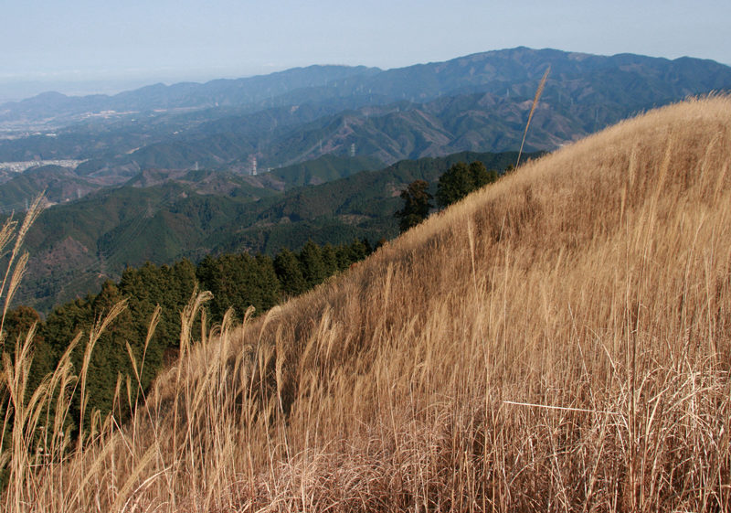 岩湧山　岩湧山の草原から金剛山地を見る。大阪平野をとりまく山々を一望
