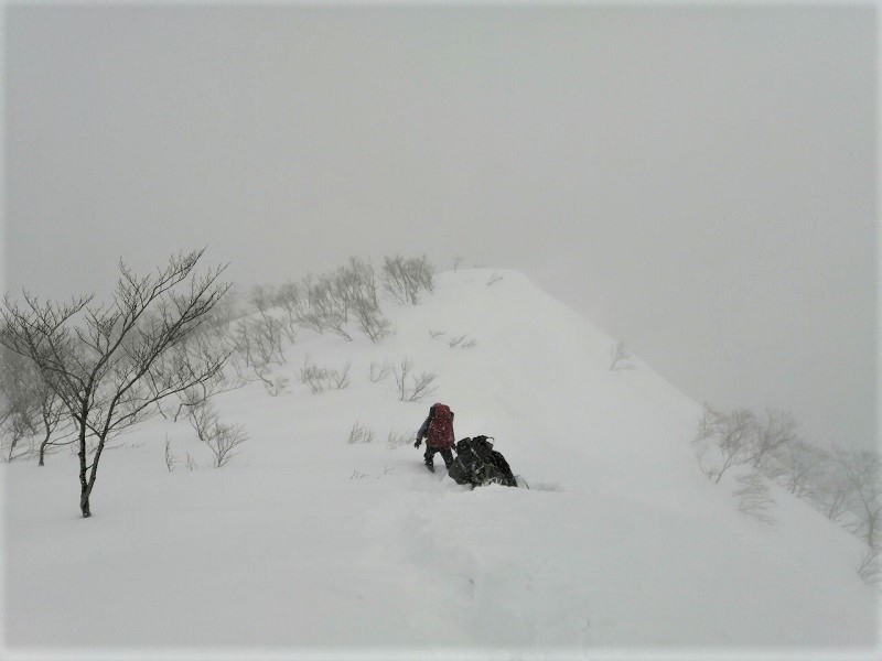 書籍『死に山 －世界一不気味な遭難事故《ディアトロフ峠事件》の真相－』謎は探検によって解明される | 山歩みち